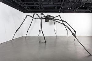 Spider