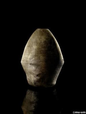 Object in oak