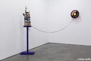 Antenna- Ginseng battery