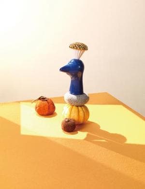 Blue Bird