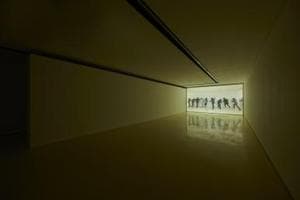 Overwhelming Memories of Transcendental Approach