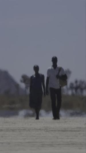 Ancestors