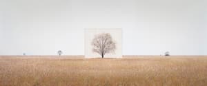 Tree... #3, View of Work : Tree... #3_1~12, Video of Work : Tree... #3
