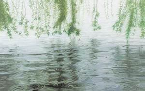 Rain-Echo of Inner Sound