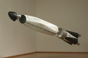 우주발사체 (Space Launch Vehicle) DMC