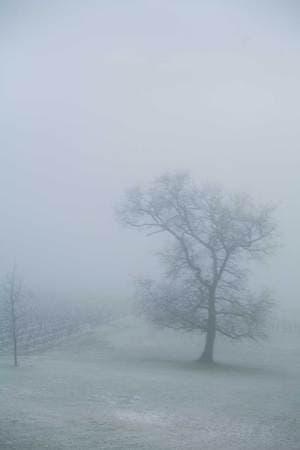 L`Hiver