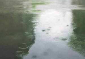 RAIN-Echo of Inner Sound