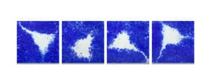 희고 푸르게(Weiss und Blau) 1311-1314