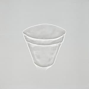 The Growth of the Bowl