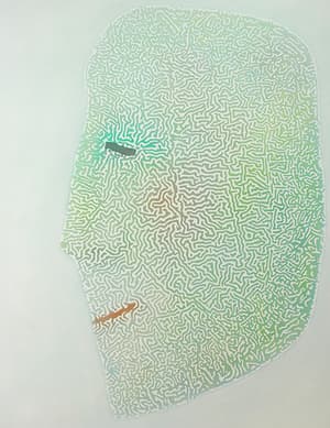 껍딱-음