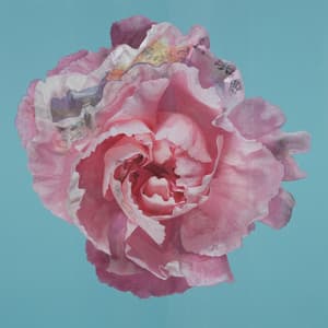 새로운 꽃 0901