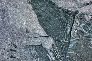 Rock Face III(암벽 3)