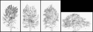 바람소리 1, 2, 4, 5