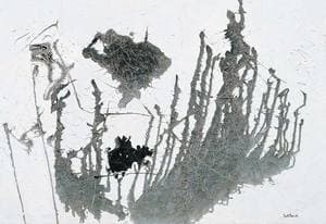 자연