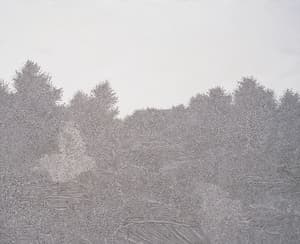 기억의 숲