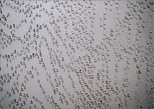 1cm 진술
