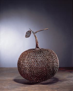 Creation and Cohesion-Orange
