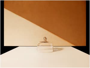 Still Life 006