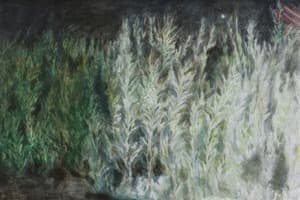 바랜 밤