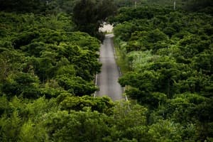 okinawa_book_052_미군기지_2816_okinawa_05142016