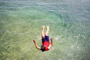okinawa book 003 미군기지_2056_okinawa_05142016