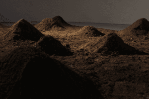 Instant Landscape