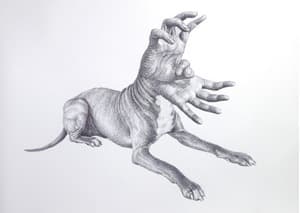 Handog-12