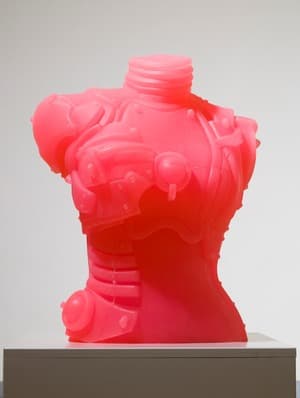 사이보그 Cyborg