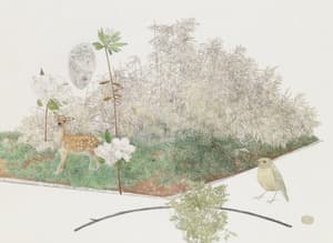 미미경微美景