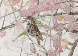 관매화산금觀梅花山禽