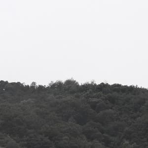 역설적 낙원