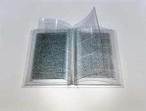 박제된글자들