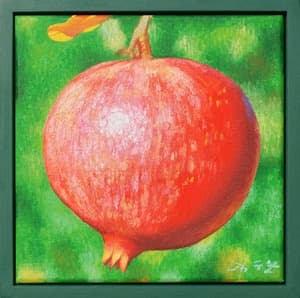 Pomegranate 