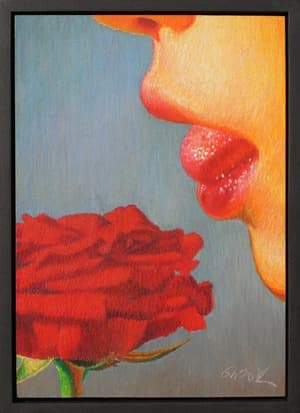 The shape of a flower