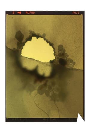 film 23