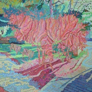 a casual plot-red tree