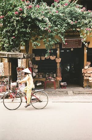 HOIAN #1