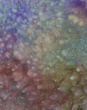 Internal L. Universe Series 52
