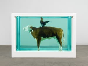 Cock and Bull