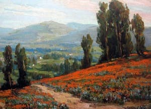Poppies and Eucalyptus