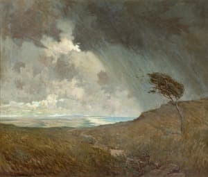 Coastal Storm
