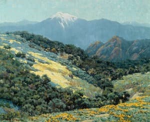 Valley Splendor