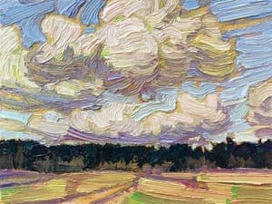 Sunlit Fields