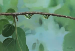 Natural Image
