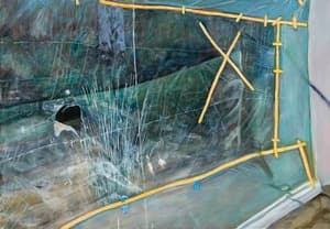Scratching (Window Pane)