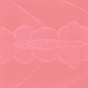부조풍경Orange