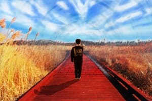 그림속으로
