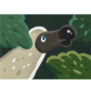 Dodo