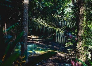 Forest-Green Version4