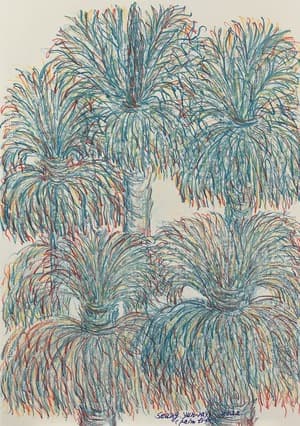 Palm Tree